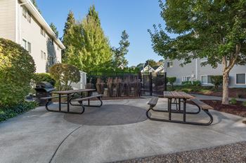 Playground and courtyard